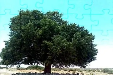 natural jigsaw puzzle