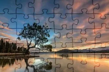 紐西蘭瓦納卡湖之孤樹 jigsaw puzzle