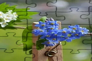 Flor jigsaw puzzle