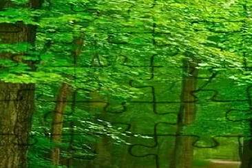 Verde jigsaw puzzle