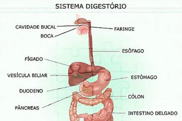 montar quebra cabeÃ§a