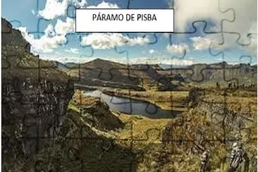 pisba