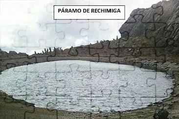 rechimiga