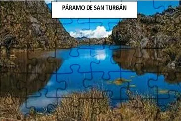 san turban jigsaw puzzle