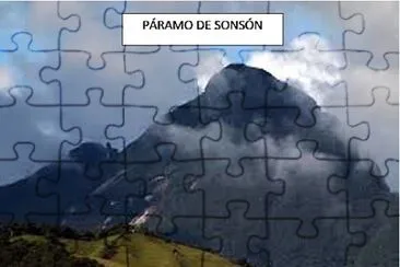 sonsÃ³n jigsaw puzzle