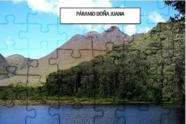 doÃ±a juana jigsaw puzzle