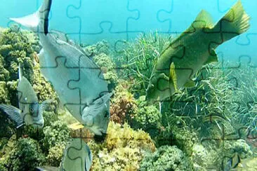 paisaje jigsaw puzzle