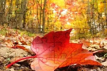 otoÃ±o jigsaw puzzle