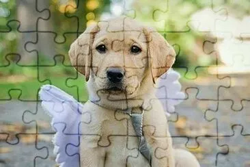 animales traviesos jigsaw puzzle