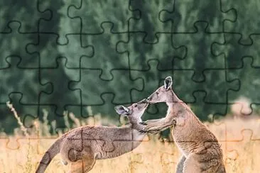 PQPENPQQ jigsaw puzzle