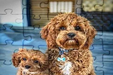 animales traviesos jigsaw puzzle