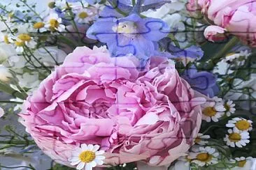 Rosa jigsaw puzzle