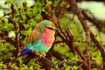 Nature jigsaw puzzle