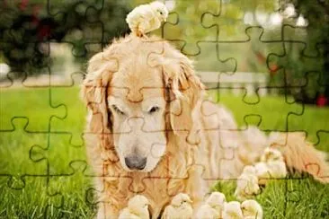 Perro con Pollitos jigsaw puzzle