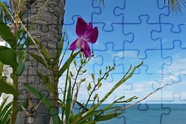 imagem jigsaw puzzle