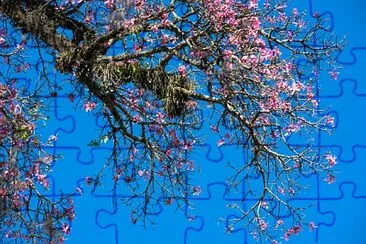 imagem jigsaw puzzle