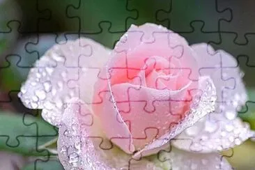 yed jigsaw puzzle