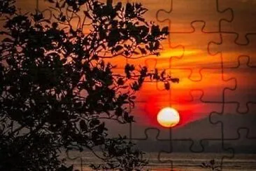 natural jigsaw puzzle