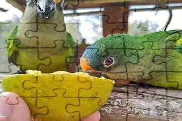 natural jigsaw puzzle