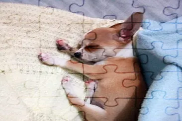 es mi mascotita :3 jigsaw puzzle