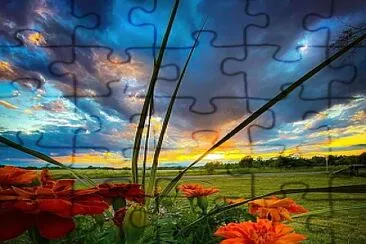 Flor laranja jigsaw puzzle