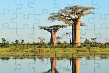 Madagascar jigsaw puzzle