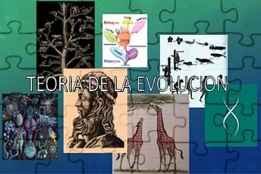 TEORÃAS DE LA EVOLUCIÃ“N jigsaw puzzle