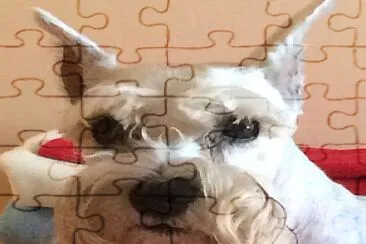 Nicky jigsaw puzzle