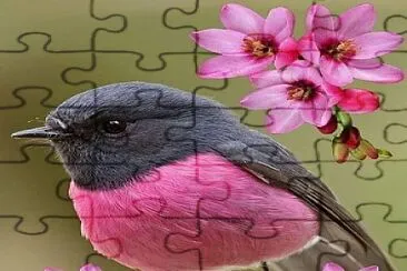 f. jigsaw puzzle