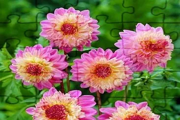 flores jigsaw puzzle