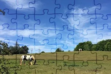 Horses and Clouds jigsaw puzzle