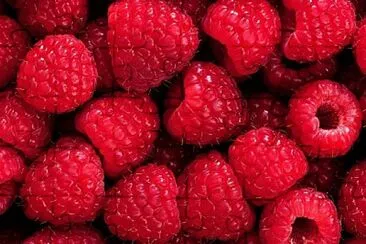 Red Raspberries