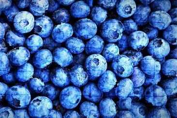 Blueberries