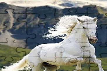 פאזל של caballo blanco