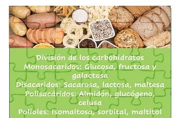 DivisiÃ³n de carbohidratos