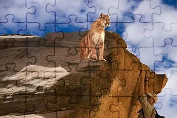 peligro jigsaw puzzle