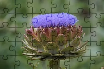 flores jigsaw puzzle