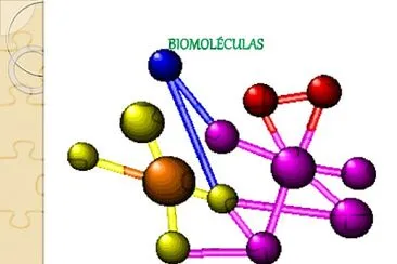 BiologÃ­a jigsaw puzzle