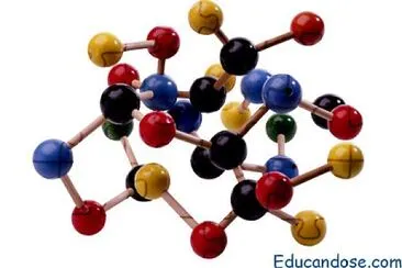 biomoleculas