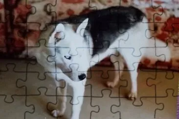 Naiback jigsaw puzzle