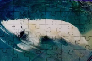 Polar jigsaw puzzle