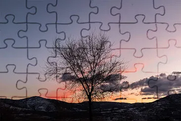 helen sharith jigsaw puzzle