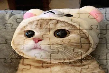 a cat cute jigsaw puzzle