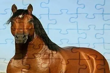 CABALLO jigsaw puzzle