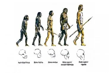 evoluciÃ³n