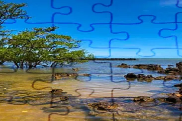 Praia jigsaw puzzle