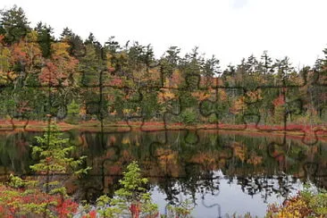 פאזל של Porters Lake, Nova Scotia, Canada