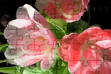 Blume jigsaw puzzle