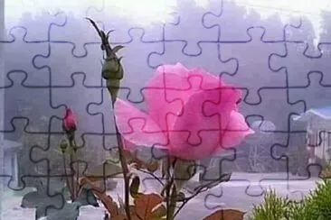 imagem jigsaw puzzle