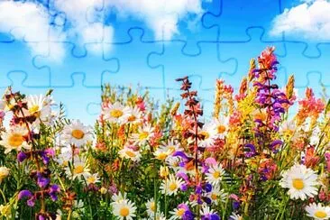 Flowers jigsaw puzzle